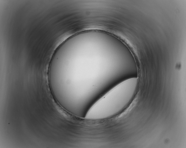 X0000103161137200808221145