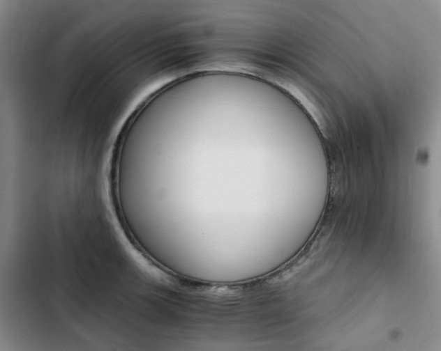 X0000103161139200808221146
