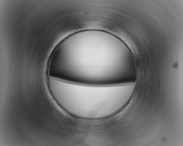 X0000103161142200808221146