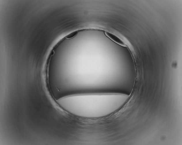 X0000103161144200808221146