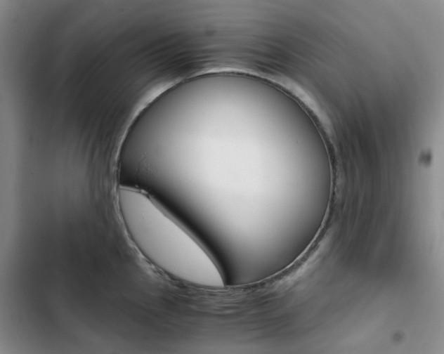 X0000103161145200808221146