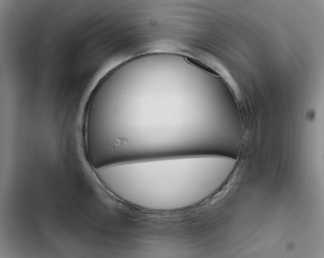 X0000103161146200808221146