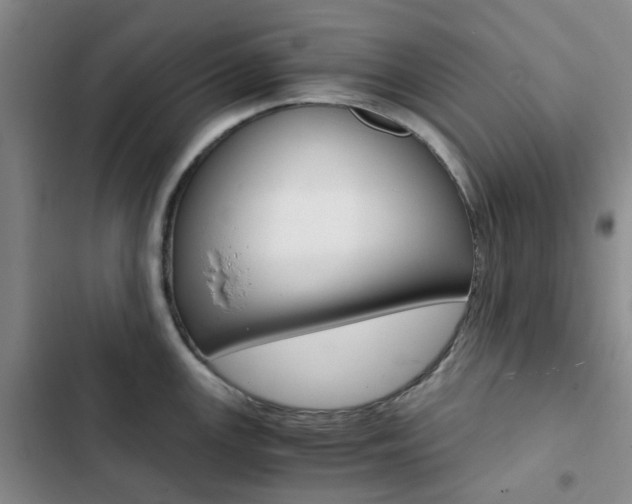 X0000103161147200808221146