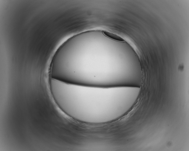 X0000103161151200808221146