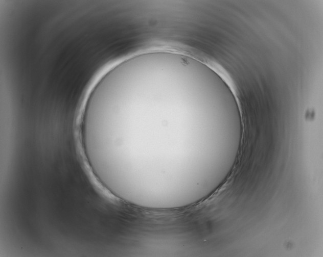X0000103161152200808221146
