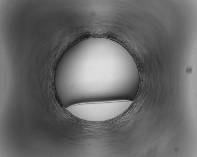 X0000103161153200808221145