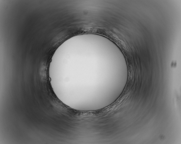 X0000103161154200808221145