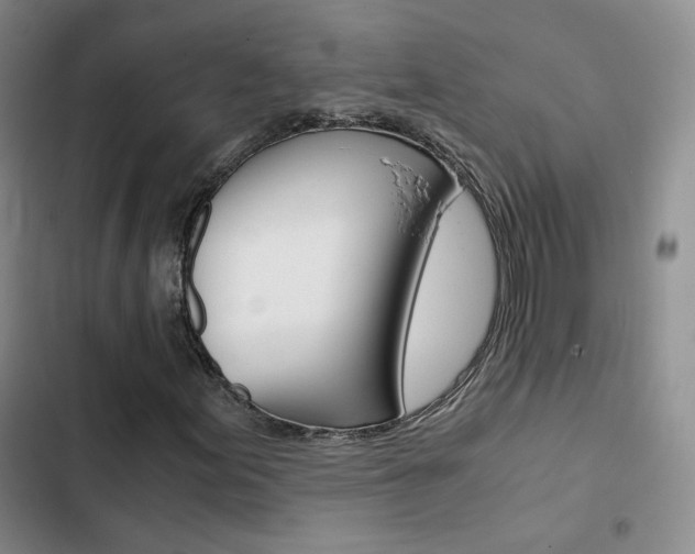 X0000103161155200808221145