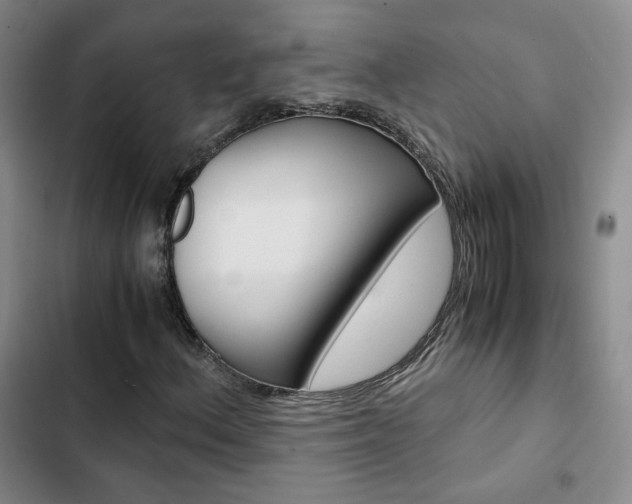 X0000103161156200808221145