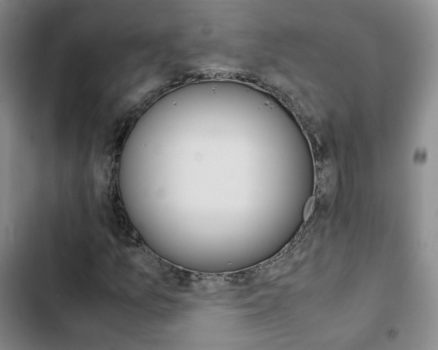 X0000103161157200808221145