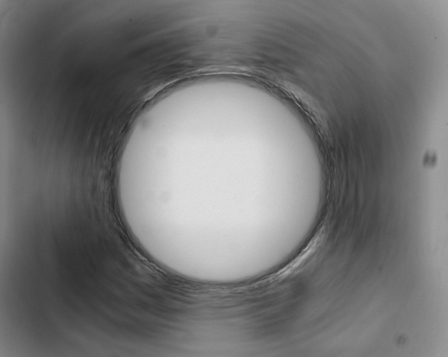 X0000103161161200808221145