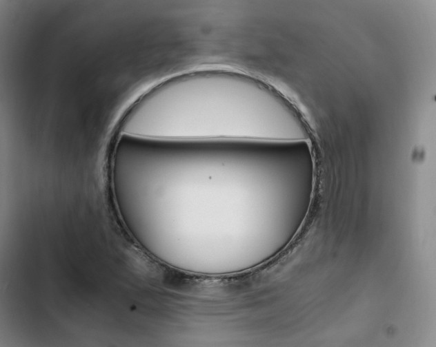 X0000103161167200808221145