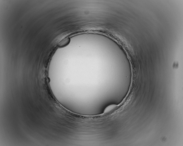 X0000103161169200808221145