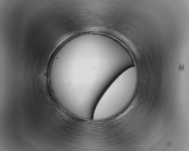 X0000103161170200808221145