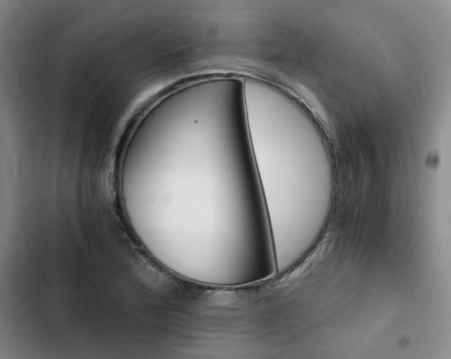 X0000103161172200808221145