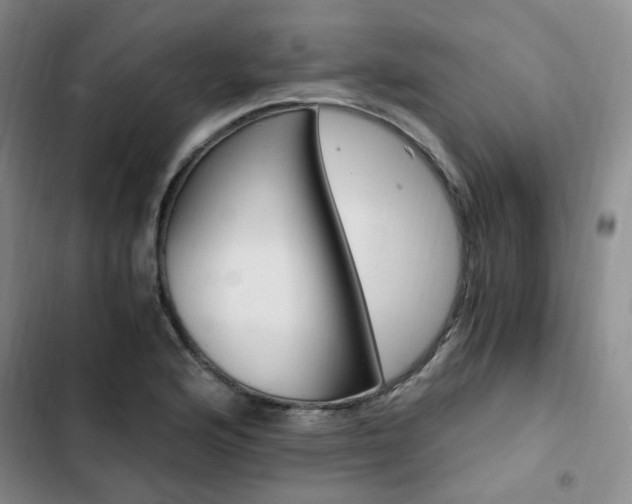 X0000103161176200808221145