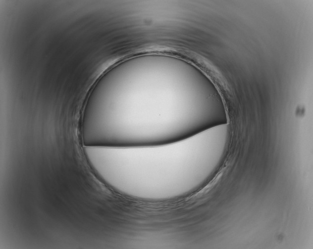 X0000103161177200808221145
