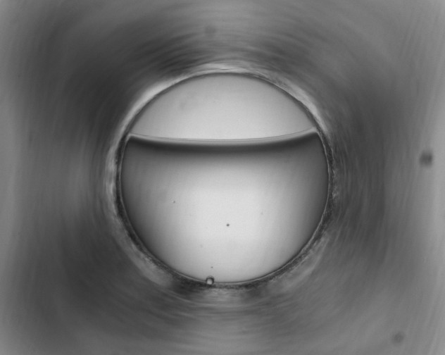 X0000103161179200808221145