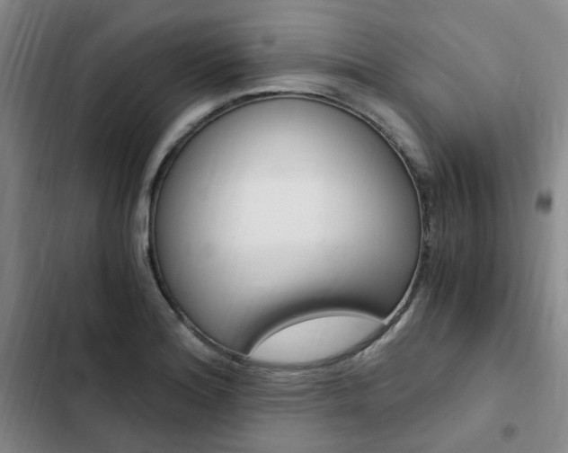X0000103161180200808221145