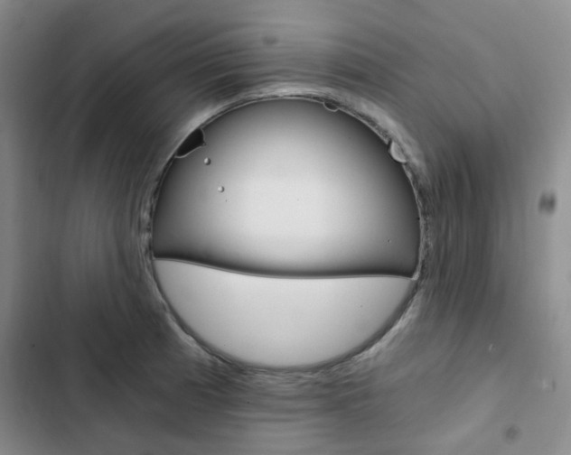 X0000103161185200808221145