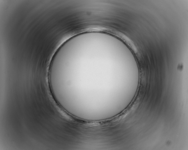 X0000103161186200808221145