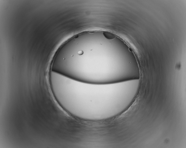 X0000103161189200808221145