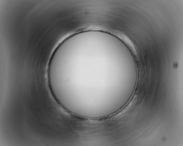 X0000103161190200808221145
