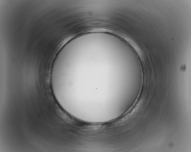 X0000103161193200808221144
