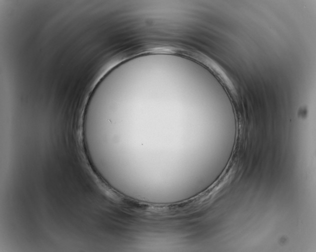 X0000103161194200808221144