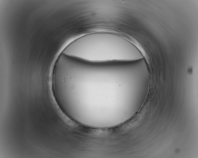 X0000103161195200808221144