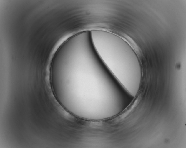 X0000103161196200808221144