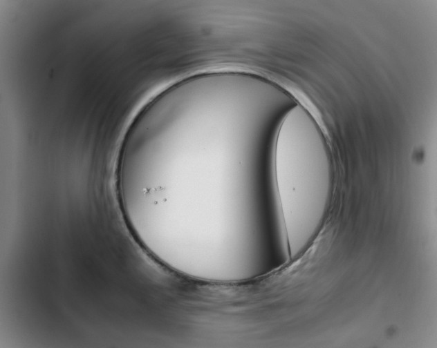 X0000103161197200808221144