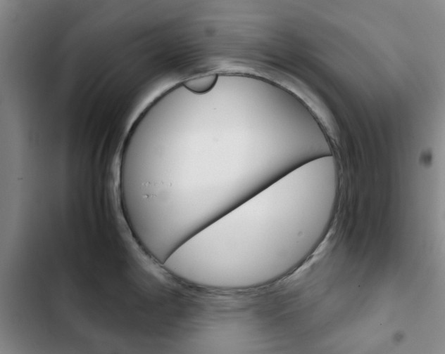 X0000103161198200808221144