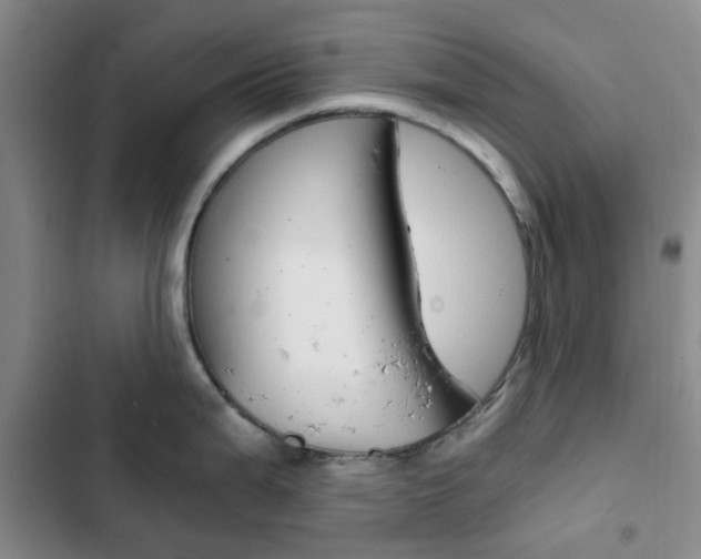 X0000103161199200808221144