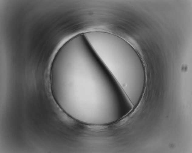 X0000103161200200808221144