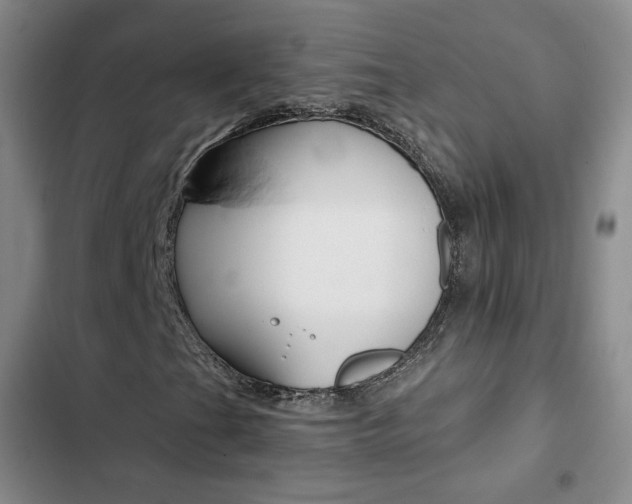 X0000103161201200808221144