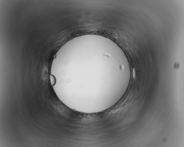 X0000103161203200808221144