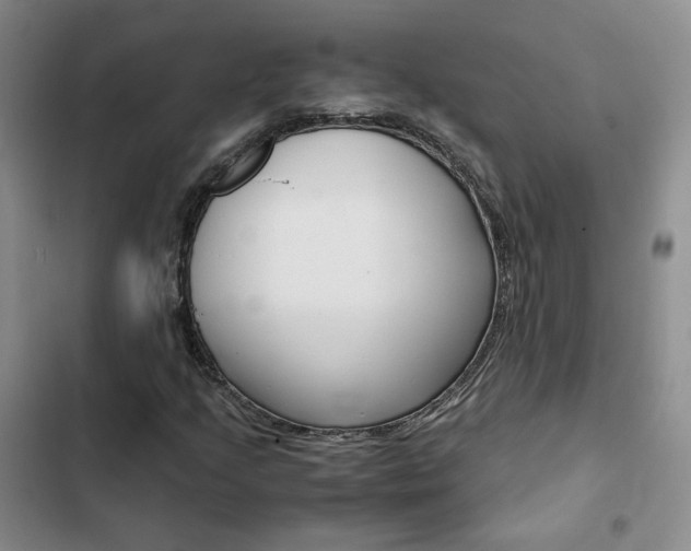 X0000103161205200808221144