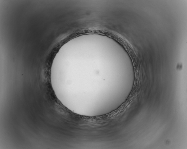 X0000103161207200808221144