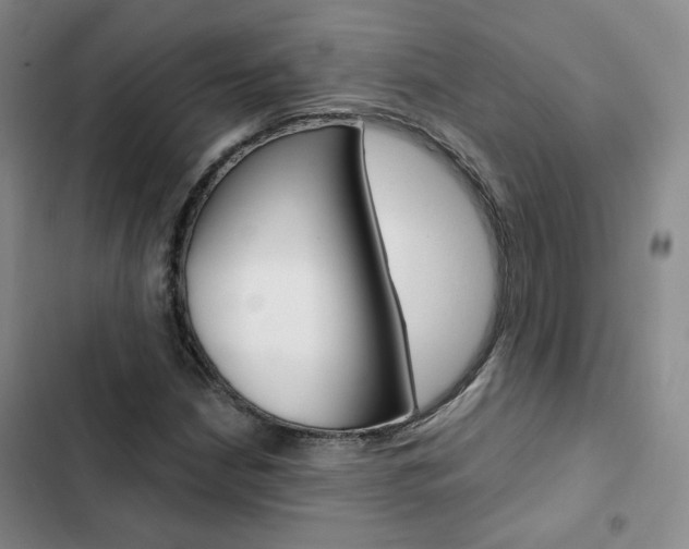 X0000103161210200808221144