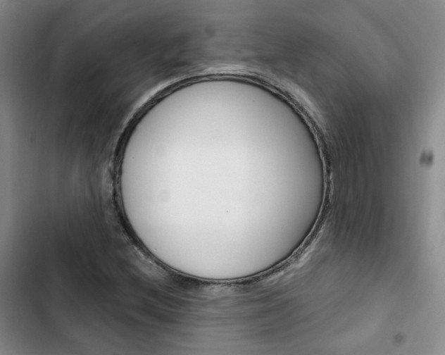 X0000103161212200808221144