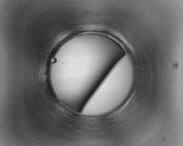 X0000103161213200808221144