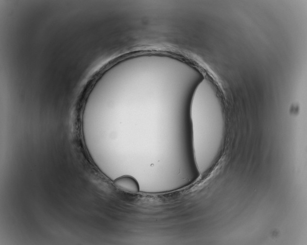 X0000103161215200808221144
