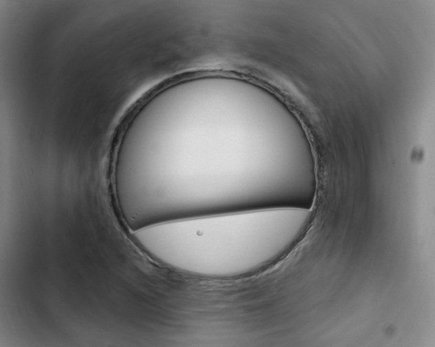 X0000103161216200808221144