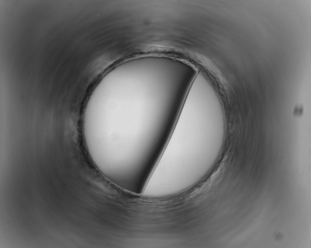 X0000103161217200808221144