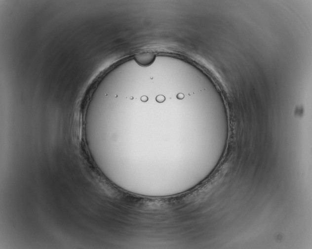 X0000103161219200808221144
