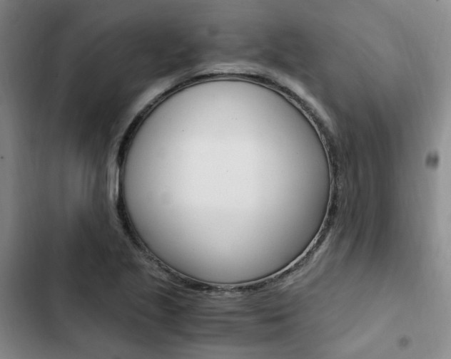 X0000103161221200808221144