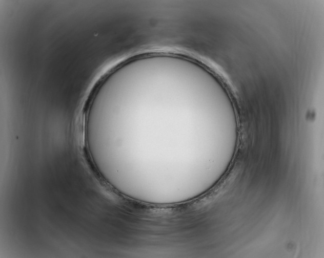 X0000103161223200808221144