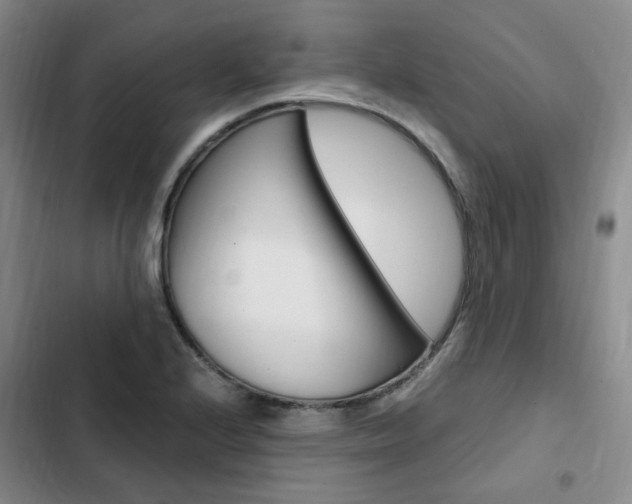 X0000103161224200808221144