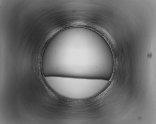 X0000103161225200808221144